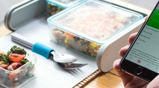 comment-fonctionne-le-service-de-plateau-repas